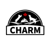 Charm 野性魅力
